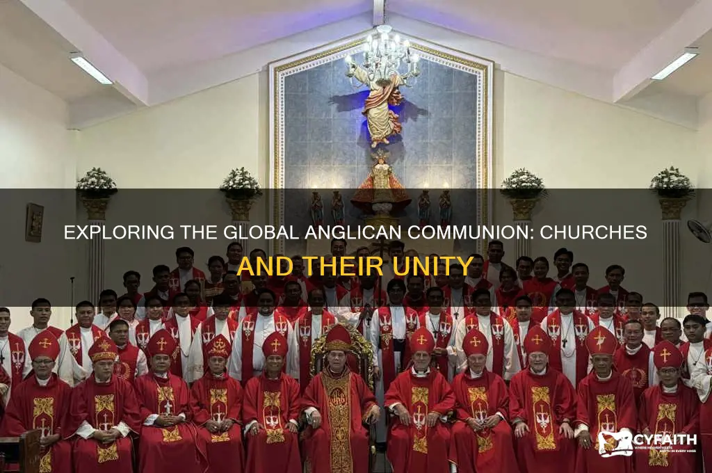 what churches are in the anglican communion