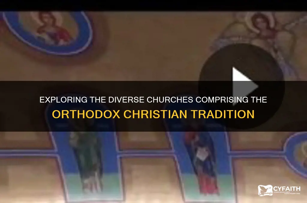 what churches make up the orthodox church