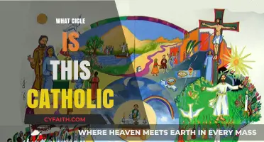 Understanding the Catholic Liturgical Cycle: Which One Are We In?