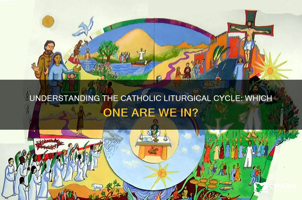 what cicle is this catholic