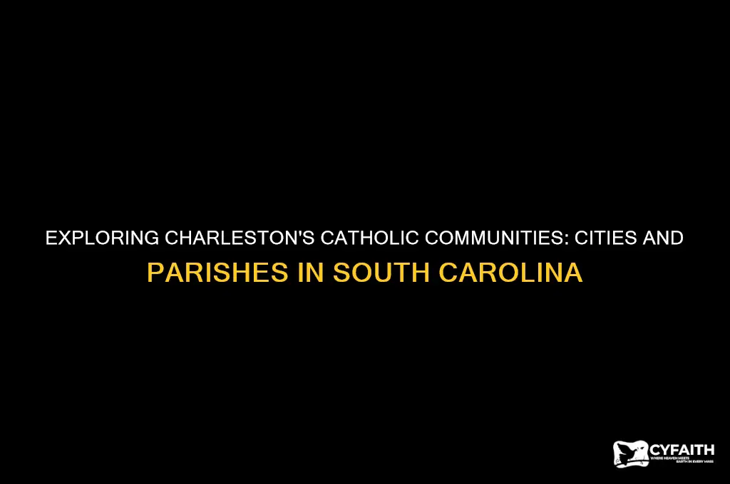 what cities are in charleston south catholics