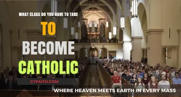 Steps to Becoming Catholic: Required Classes and Sacraments Explained