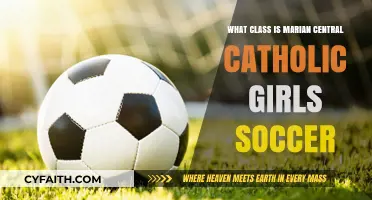 Marian Central Catholic Girls Soccer: Unveiling Their Competitive Class Division
