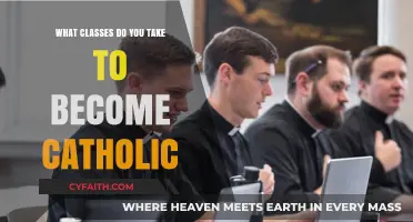 Steps to Becoming Catholic: Essential Classes and Formation Explained