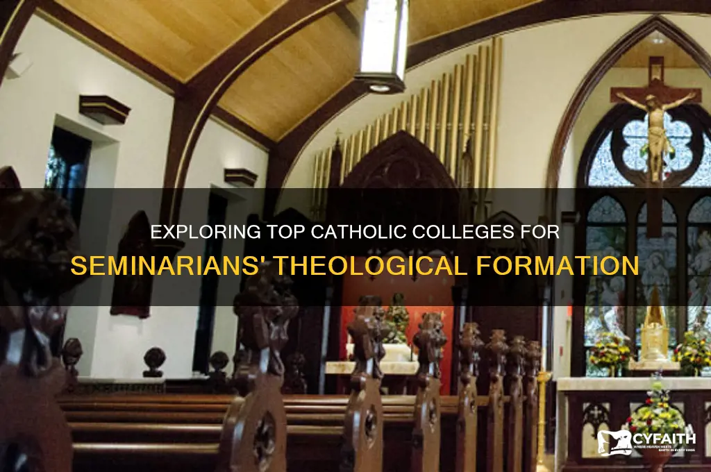 what college to catholic seminarians go to