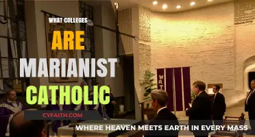 Exploring Marianist Catholic Colleges: Faith, Education, and Community