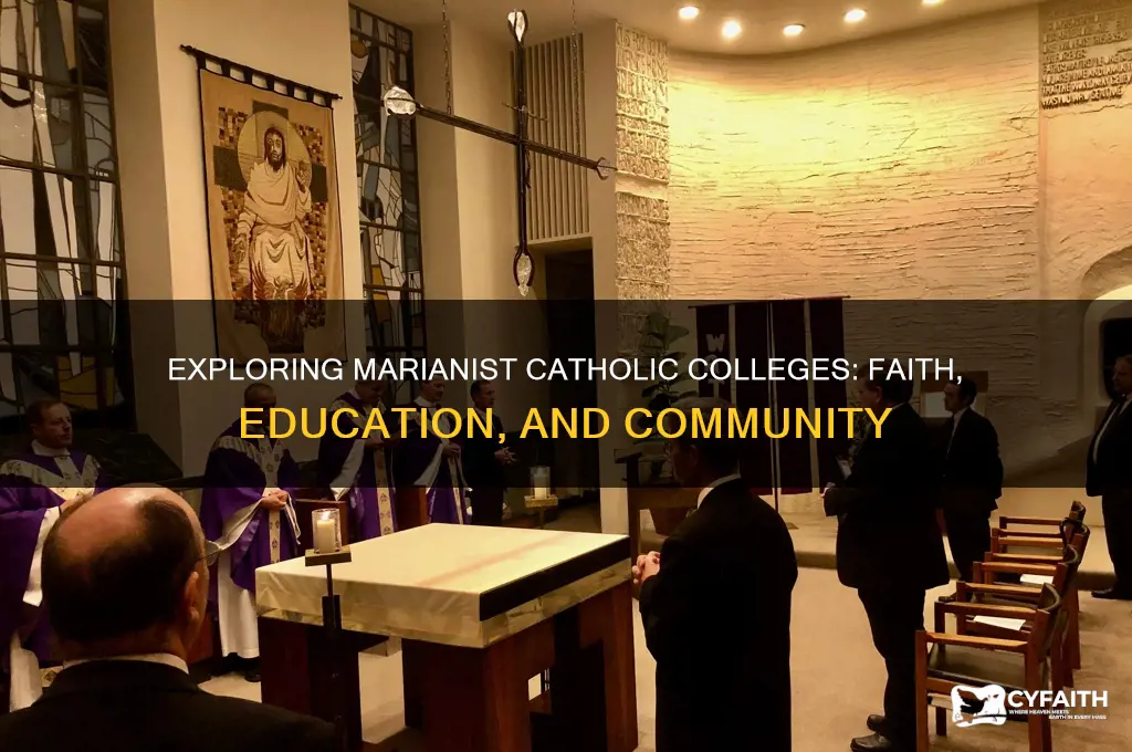 what colleges are marianist catholic