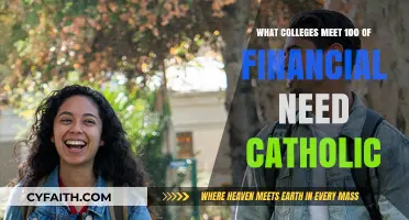Catholic Colleges Fully Meeting 100% of Financial Need: Your Guide