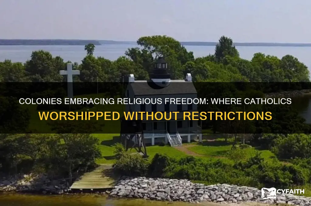 what colonies started to let catholics worship freely
