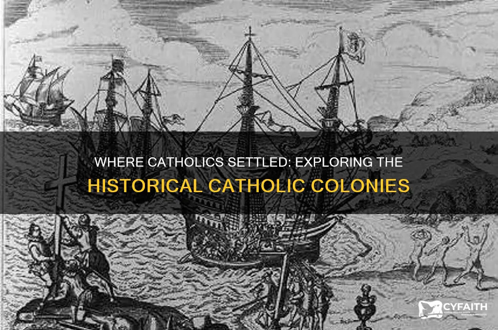 what colony did the catholics settle