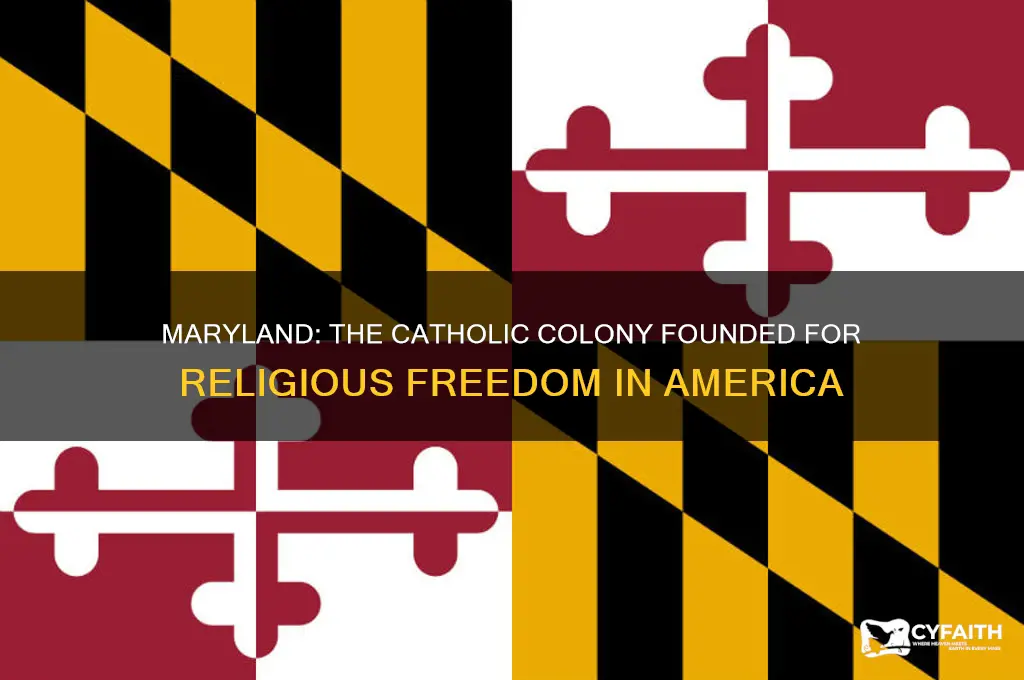 what colony is created for catholics
