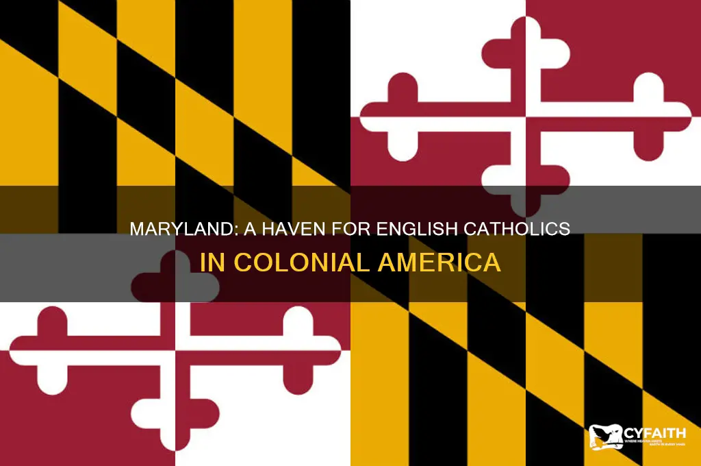 what colony was a refuge fkr english catholic