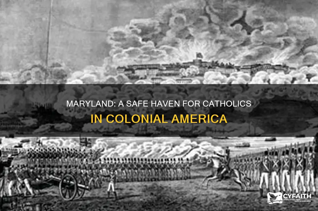 what colony was a safe haven for catholics
