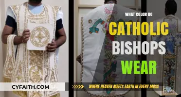 What Color Do Catholic Bishops Wear? A Liturgical Guide