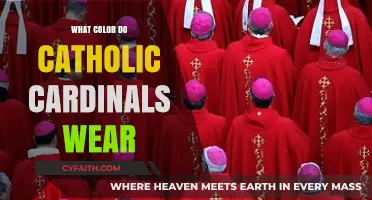 What Color Do Catholic Cardinals Wear? Unveiling the Scarlet Tradition