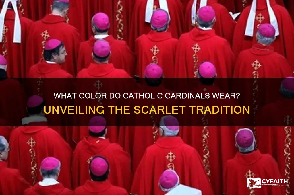 what color do catholic cardinals wear