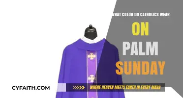 Palm Sunday Attire: Understanding Catholic Traditions and Colors