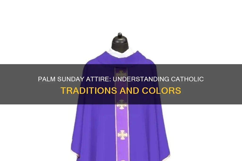 what color do catholics wear on palm sunday
