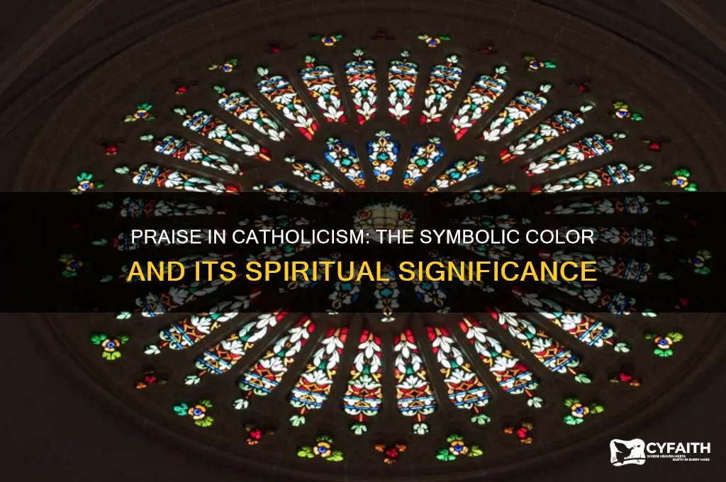 what color represents praise catholic