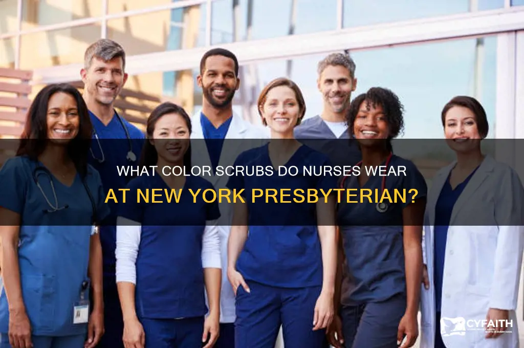 what color scrubs do nurses wear at new york presbyterian