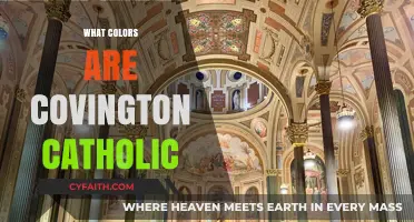 Covington Catholic's Colors: Unveiling the School's Official Palette and Meaning