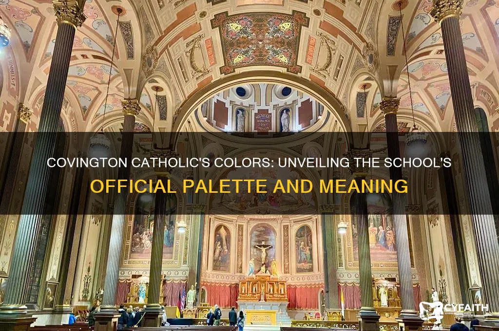 what colors are covington catholic