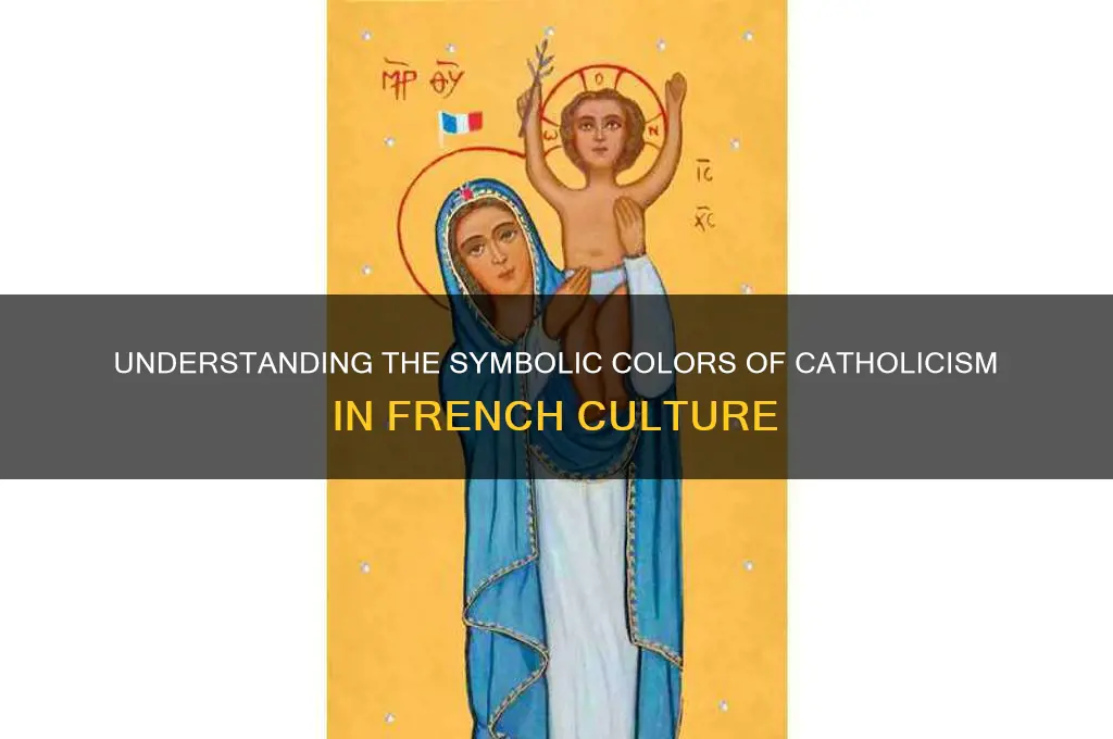 what colour represent catholics in france
