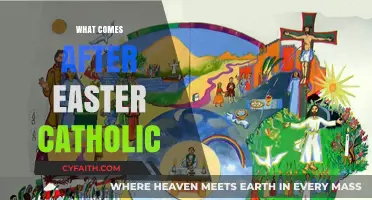 Post-Easter Catholic Journey: Exploring the Liturgical Seasons Ahead
