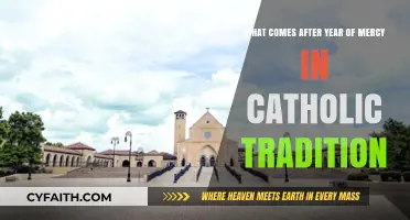 Beyond Mercy: Exploring the Next Chapter in Catholic Tradition