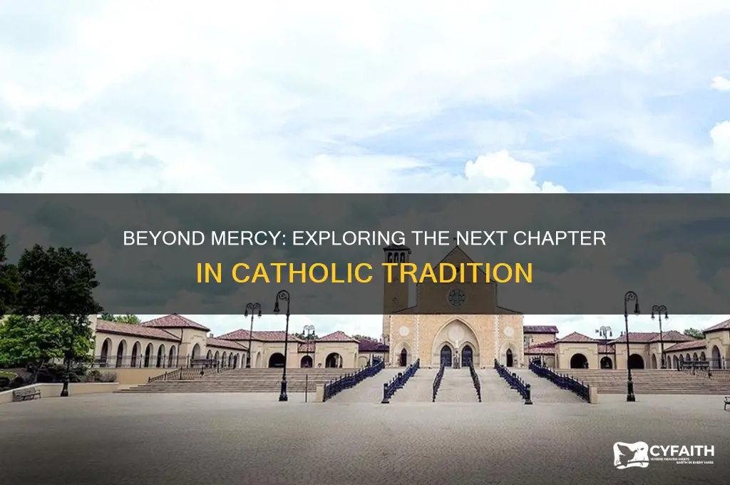 what comes after year of mercy in catholic tradition