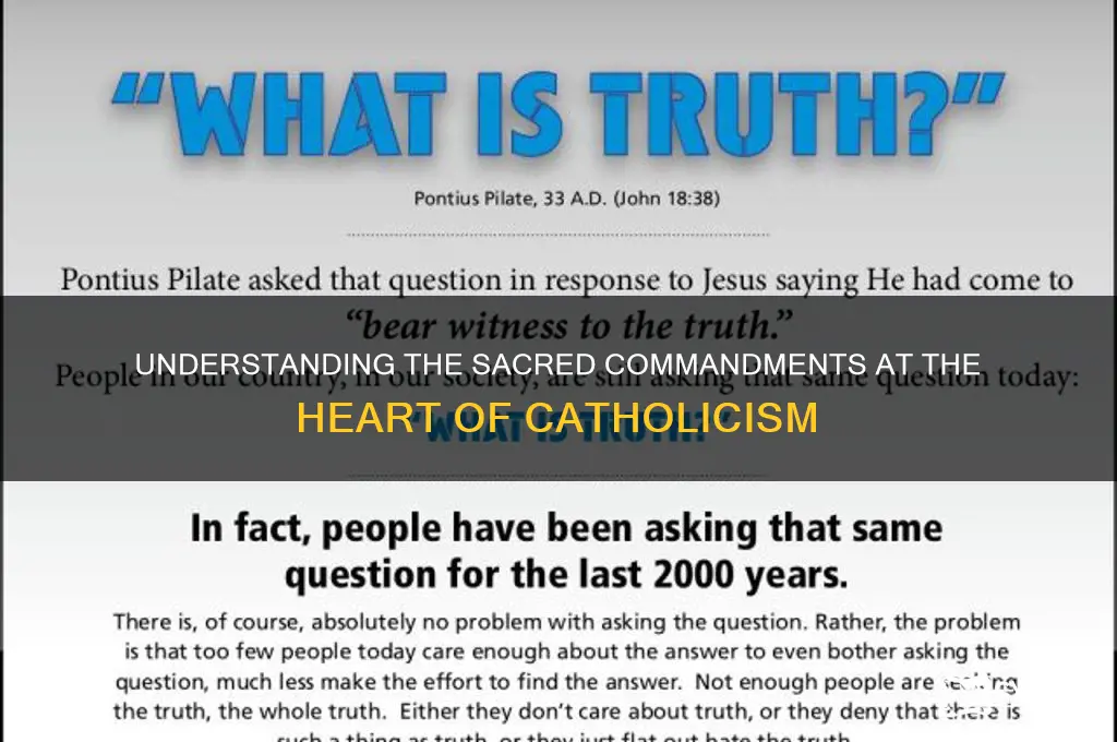 what commandments are in the catholic beliefs