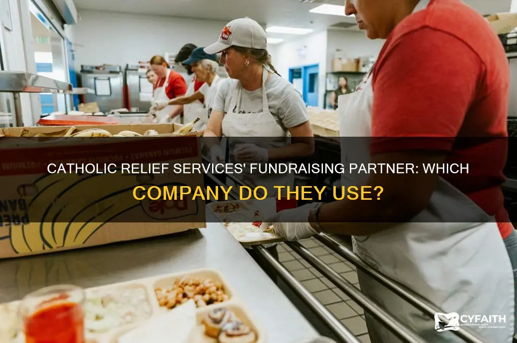 what compnay does catholic reflief services use to fundraise