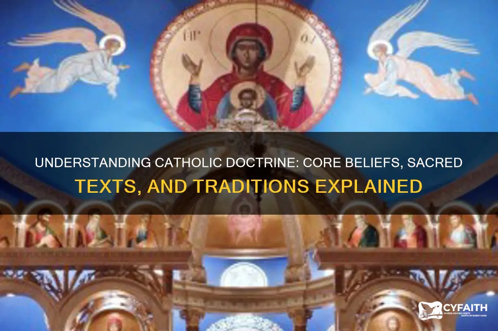 what comprises catholic doctrine