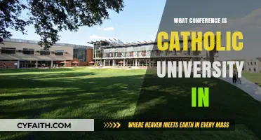 Catholic University's Conference Affiliation: A Comprehensive Guide for Fans