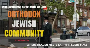 NYC's Orthodox Jewish Enclave: Which Congressional District Represents Them?