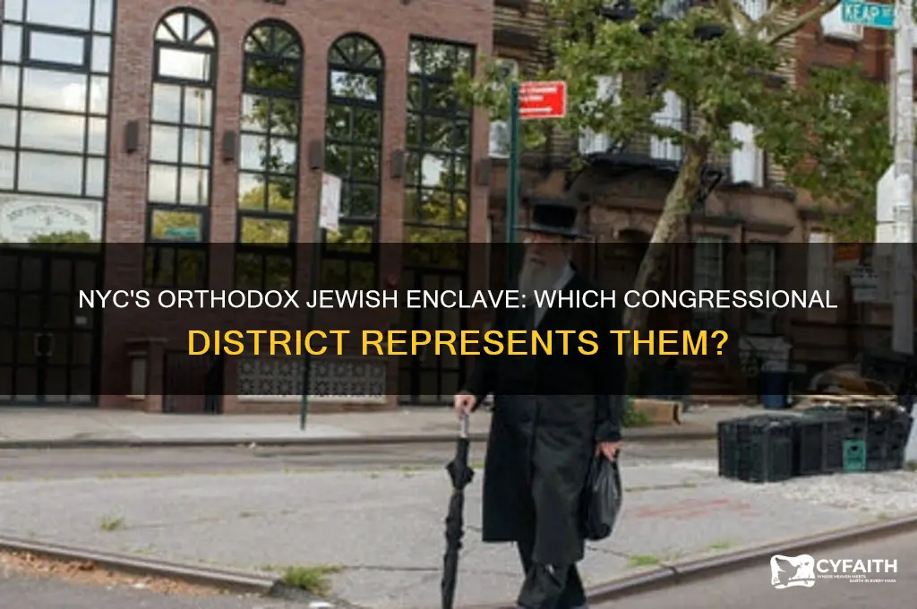what congressional district covers nyc large orthodox jewish community