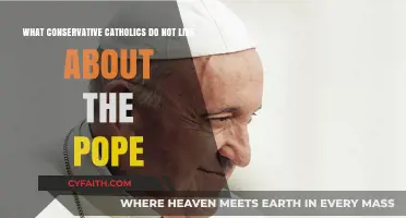 Conservative Catholics' Concerns: Pope Francis' Progressive Reforms and Teachings