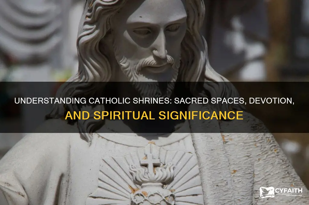 what constitutes a catholic shrine