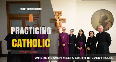 Understanding the Faith: Defining What It Means to Be a Practicing Catholic