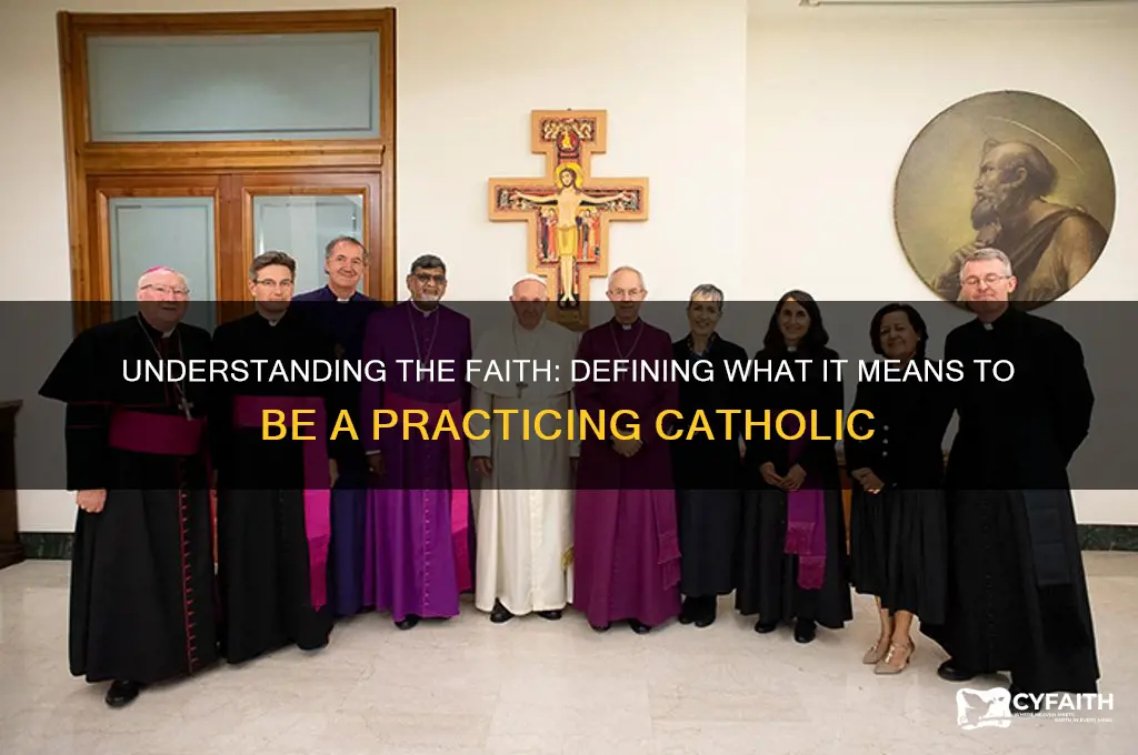 what constitutes a practicing catholic
