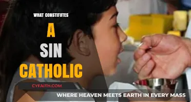 Understanding Sin: A Catholic Perspective on Moral Transgressions