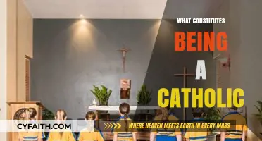 Understanding Catholic Identity: Beliefs, Practices, and Community Life Explained