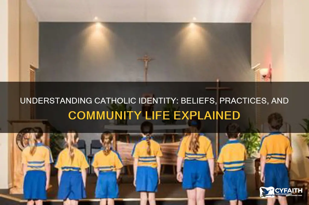 what constitutes being a catholic