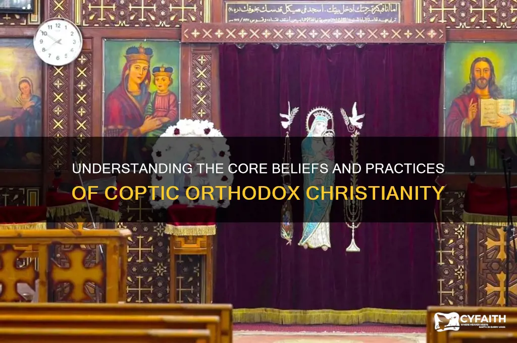 what cootic orthodox believe