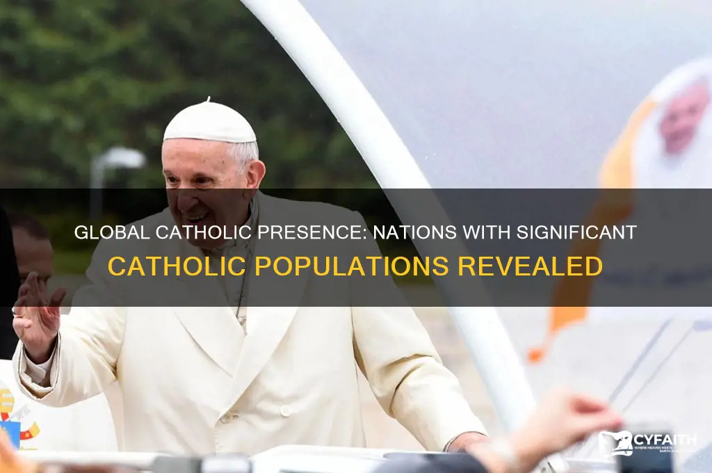 what countries have large catholic populations