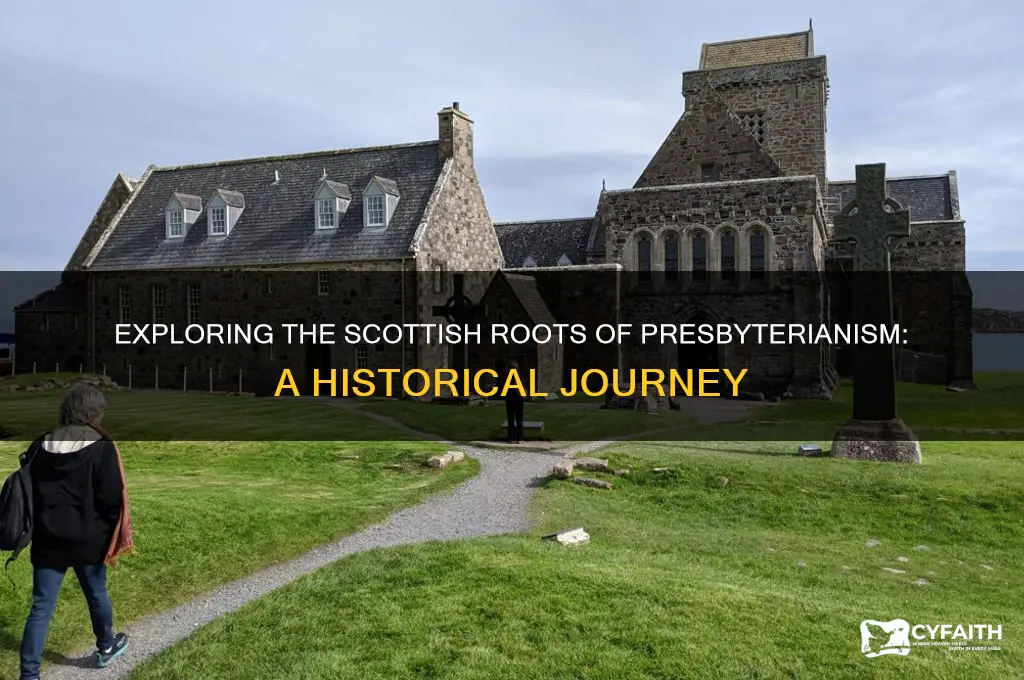 what country did presbyterian originate