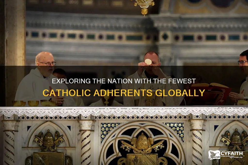 what country has the least nunber of catholics