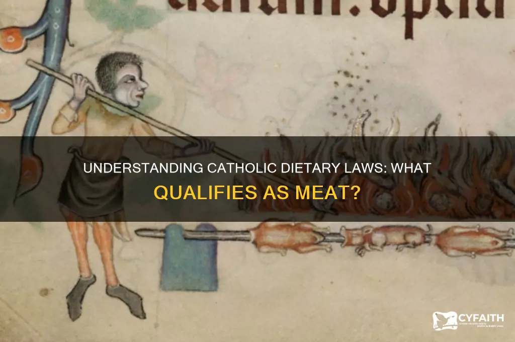 what counts as meat catholic