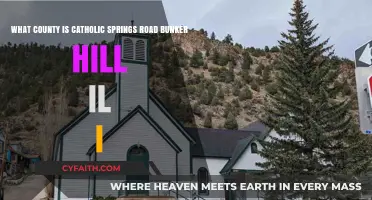 Catholic Springs Road Bunker Hill IL: Uncovering Its County Location
