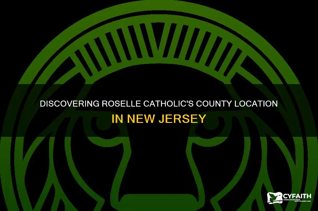 what county is roselle catholic nj in